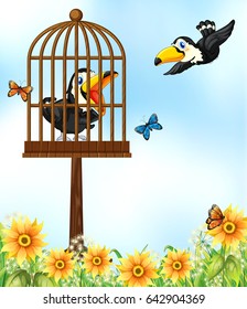 Two toucan birds in garden illustration