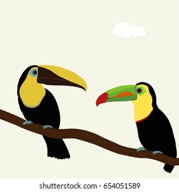 Two toucan birds on a branch