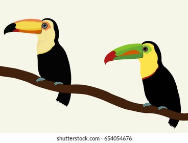 Two toucan birds on a branch