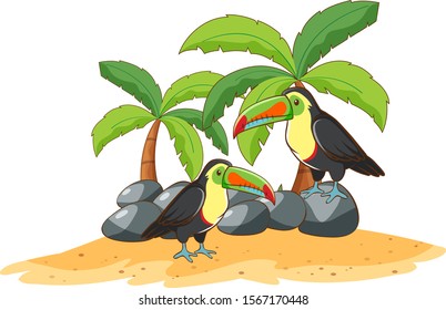 Two toucans on white background illustration