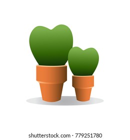 Two tree heart in the vase on white background