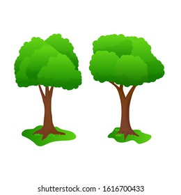 Two tree vector illustration with simple design isolated on white background 