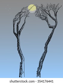 Two trees with bare branches. Games with the Moon.