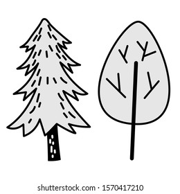 Two trees - deciduous and spruce, to create a design in doodle style