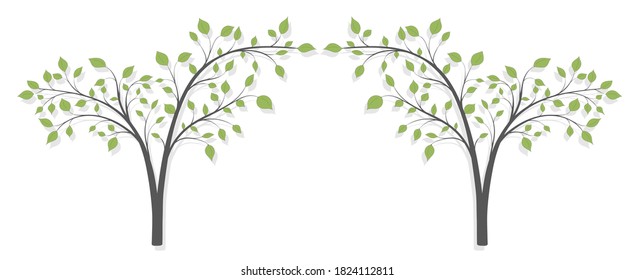 Dos árboles con hojas verdes en forma de arco sobre un fondo blanco