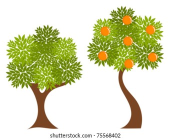 Two trees with green leaves. Orange tree illustration