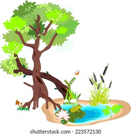 Two trees with green leaves and pond