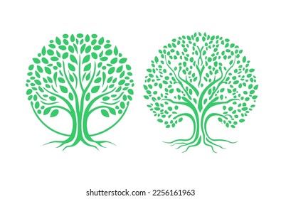 Two trees illustrations with roots for logo vector