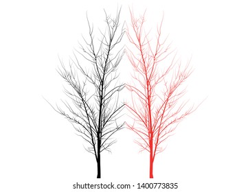 Two trees, one black another red reflected from each other. Trees on a white background. Young plants with thin branches.