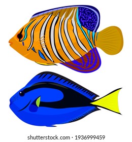 Two tropical fish, vector illustration