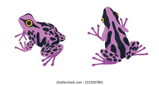 Dos ranas tropicales, conjunto de dos ilustraciones de vector dibujadas a mano