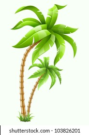 two tropical palms isolated on white background. Vector illustration. EPS10. Transparent objects used for shadows and lights drawing.