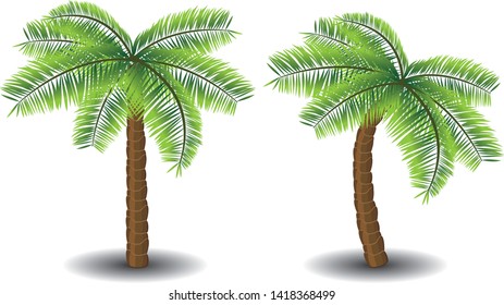 two tropical palms-straight and bent