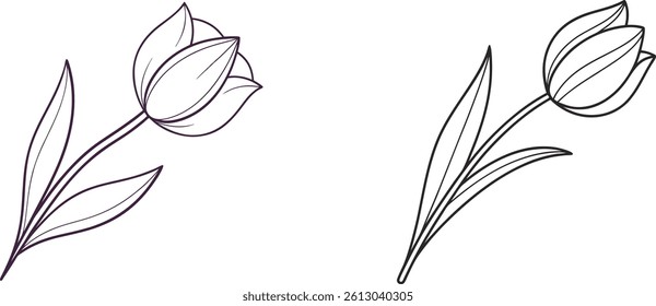 Two Tulip Flowers Elegant Outlines Decorative Floral Elements Illustration For Coloring Books
