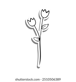 Two Tulip Flowers Outline on white silhouette and gray shadow. Hand drawn cartoon style. Vector illustration for decorate, coloring and any design.