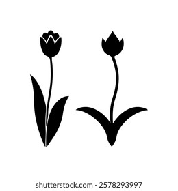 Two tulip silhouette icon vector illustration design on white background.