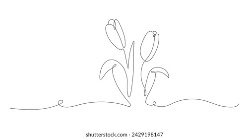 Two tulips in continuous line art drawing style. Spring floral border in modern linear style. Minimalist black linear design isolated on white background. Vector illustration