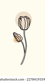 Two Tulips flowers line drawing art. Vector illustration.