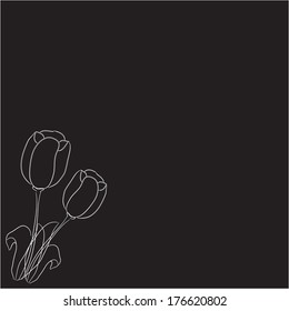 two tulips on a black background