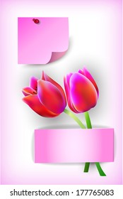 two tulips and sticker on pink background