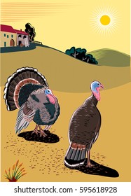 Two turkeys scratching near a farm.