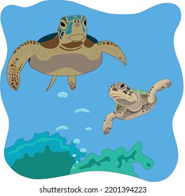 Two turtles enjoy life on a coral reef