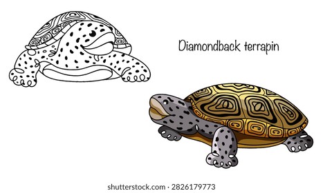 Two turtles with high, rounded, yellowish shells covered in prominent bumps and raised scutes. Their heads and limbs are speckled with dark spots. A hand-drawn vector illustration featuring turtles.