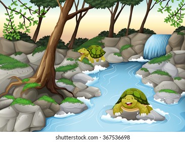 Two turtles living in the river illustration