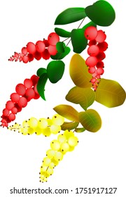 
two twigs of berries, with red and yellow berries and green and yellow leaves