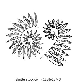 Two twisted branches with leaves. Branches with leaves of different sizes. Black and white image isolated on white background
