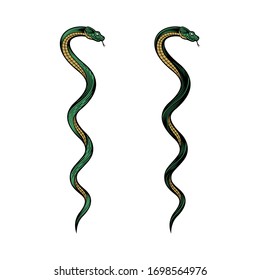 Two twisted snakes. Colorful vector illustration in engraving technique. isolated on white background.