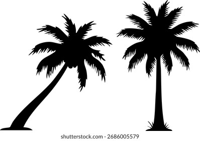 Dos tipos de sombras negras de cocoteros