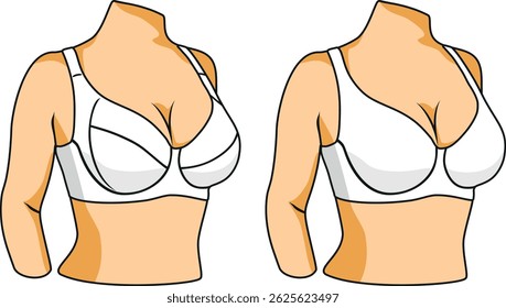 Two types of bra on a mannequin. Vector