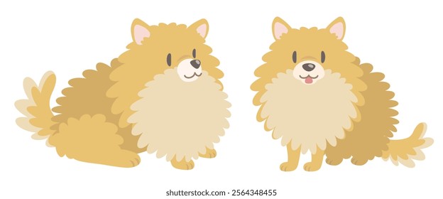 Two types of fluffy dog sitting poses. Vector illustration in flat cartoon style on white background.