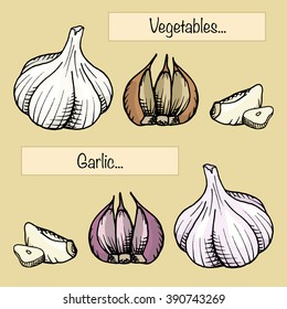 Two types of garlic