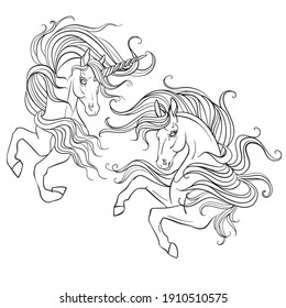 Two unicorns with a long manes. Vector black and white contour illustration for coloring page. For the design of prints, posters, postcards, stickers, tattoo, t-shirt design, logo, sign