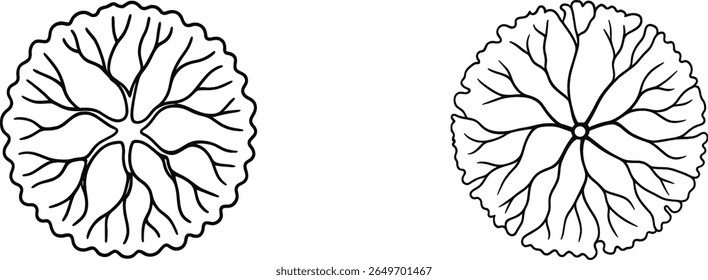 Dois desenhos florais únicos são exibidos, apresentando intrincado trabalho de linha que cria uma simetria cativante. Cada desenho destaca detalhes artísticos e elegância.