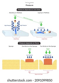 The Two Variables of Pressure Infographic Diagram unit area example is man standing and laying on mattress force example is placing one and two brick on the sponge physics science education vector - Shutterstock ID 2091099850
