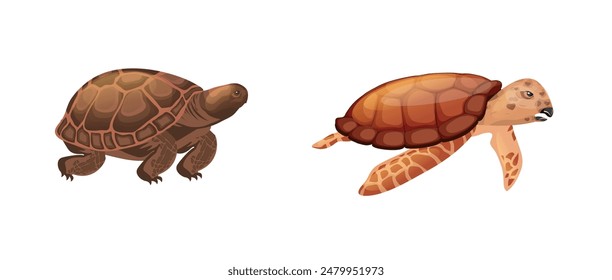 Two variant turtle 3D vector clipart illustration