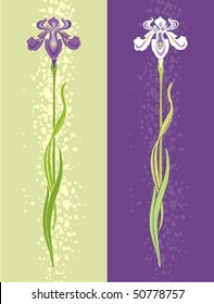 Two variants of design with vector stylized iris