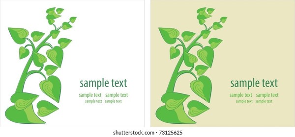 two vector background. green leaf