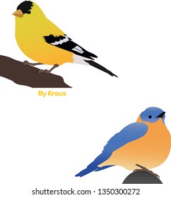 Two vector birds, yellow and black. And a yellow and blue bird.