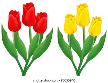 two vector bouquets of tulips, may be used as a Women's Day backdrop