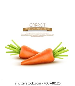 Two vector carrot isolated on a white background