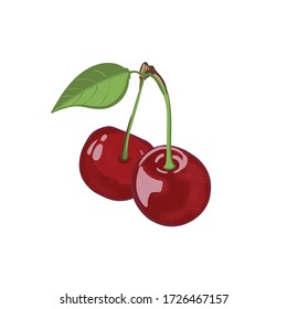 two vector cherry illustration with leaves