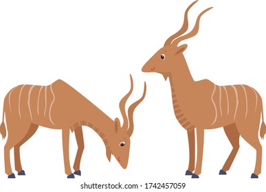 two vector cute cartoon antelopes on a white background