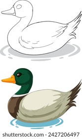 Two vector ducks floating on calm water