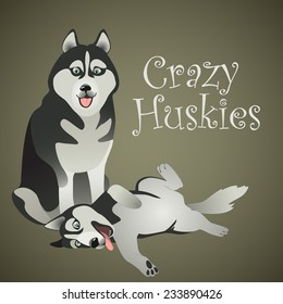 Two vector funny crazy Huskies are relaxing