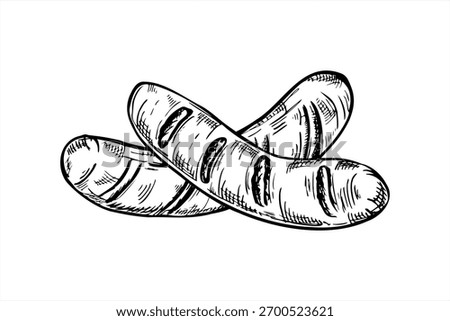 Two vector grilled meat sausages monochrome line art illustration painted by black inks. Monochrome bratwurst or chorizo griller for butcher shop label, BBQ festival poster, packaging design.