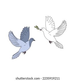 Two vector hand drawn pigeons isolated on white background.